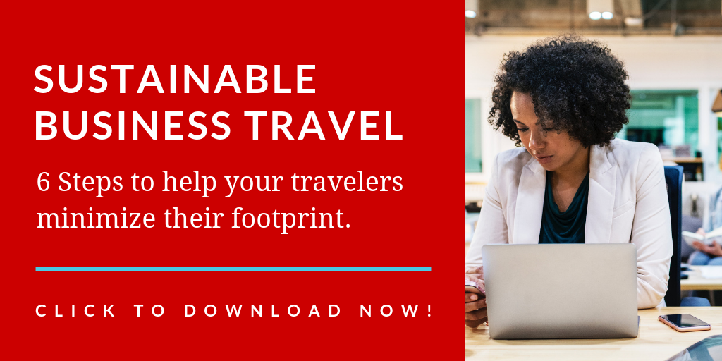 Sustainable Business Travel Download Link