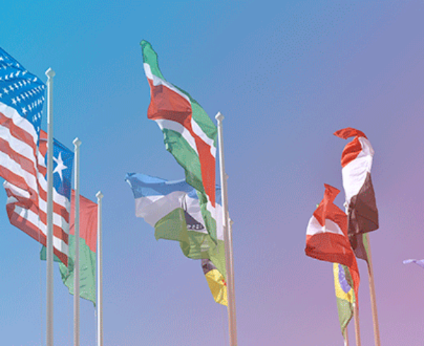 Internation Flags
