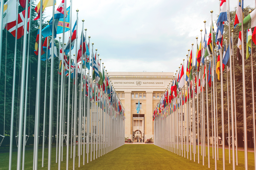 International flags in front of UN building for me