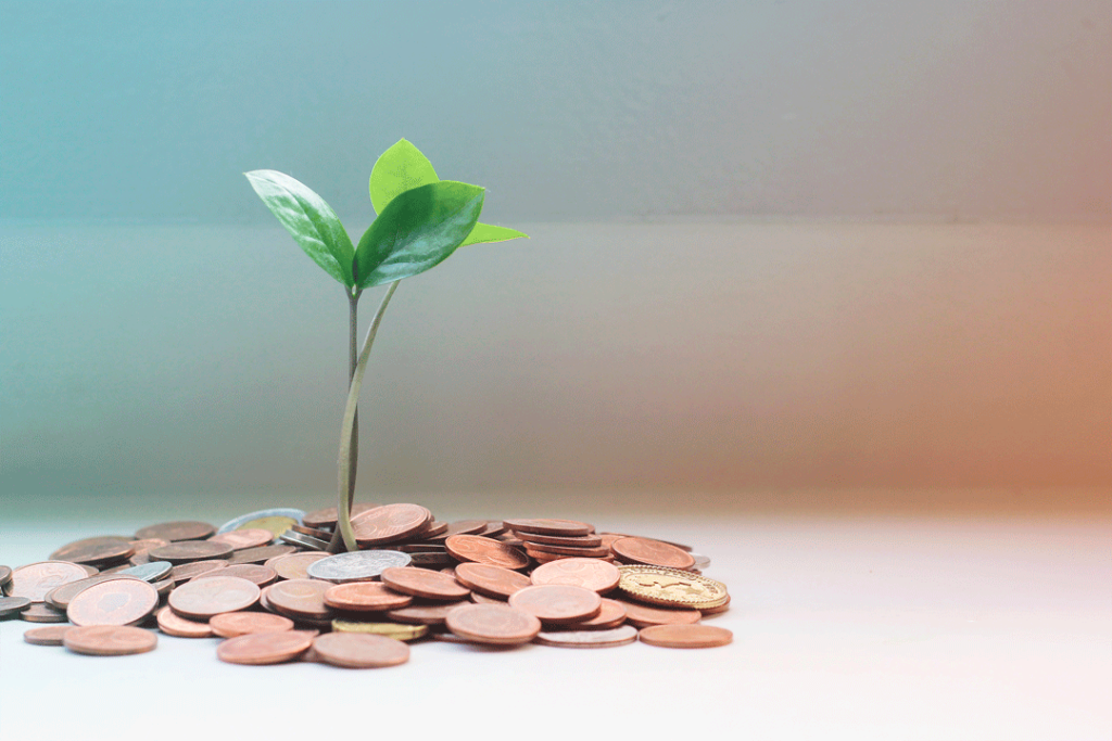 Investment growth