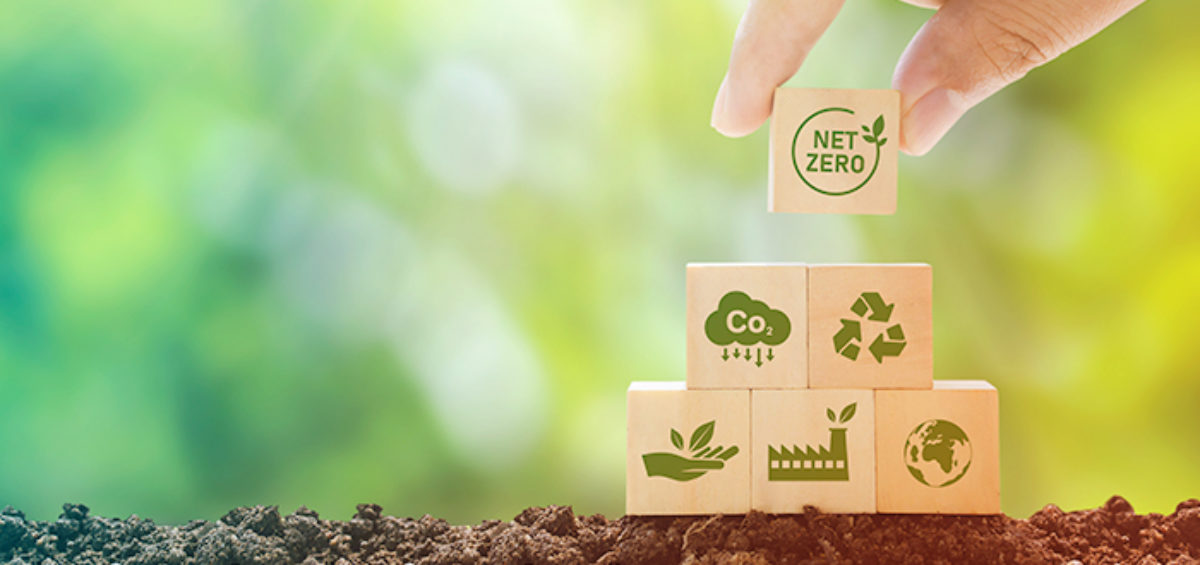 TMC Partner and Sustainability