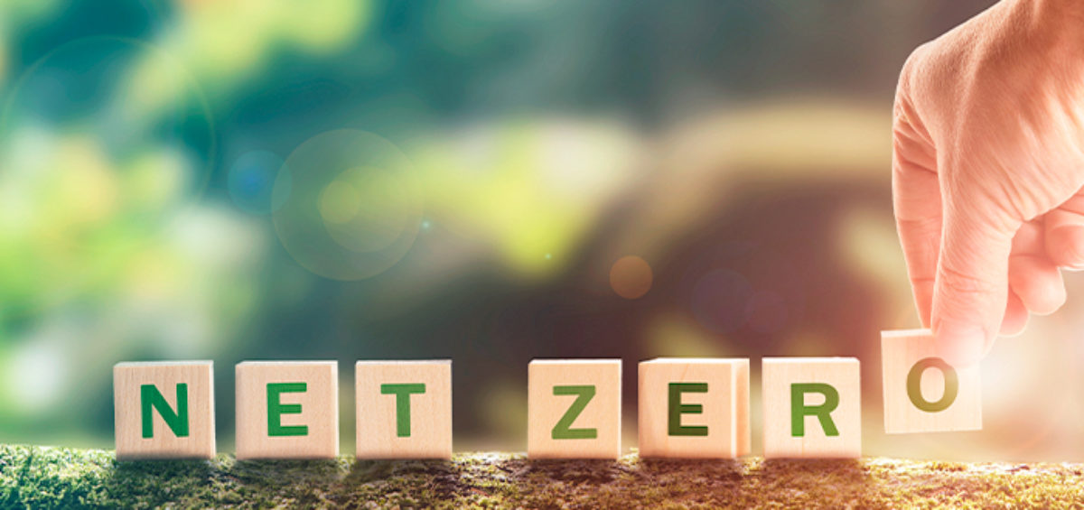 Sustainability Terms
