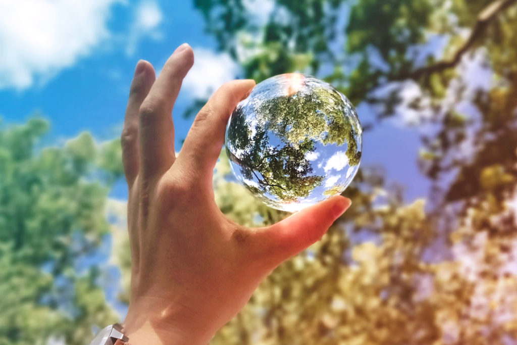 glass globe - carbon offsetting