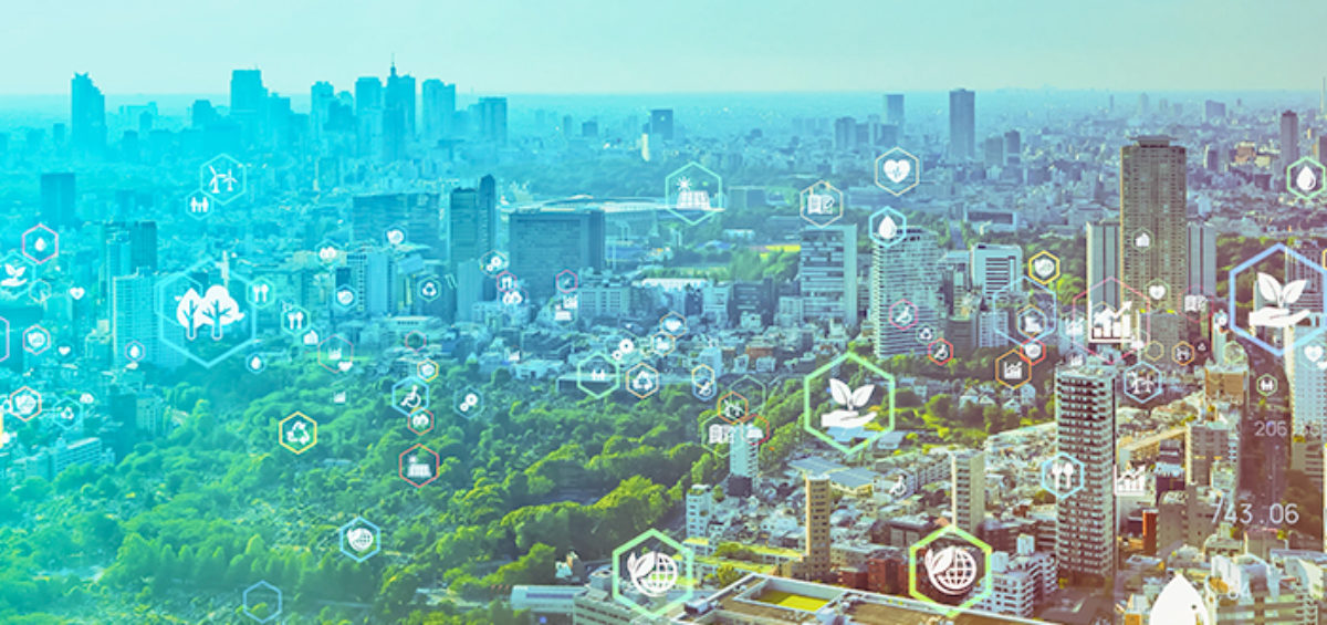 Reduce your carbon footprint: What is the most sustainable way to travel?