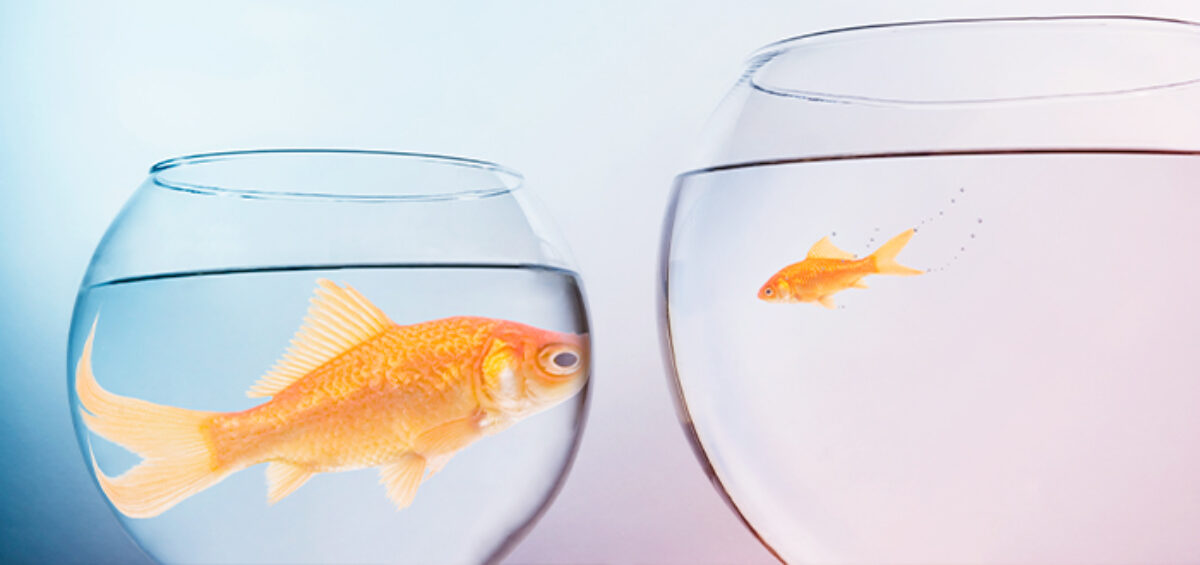 Which TMC Pricing Model is Best for Your Company?