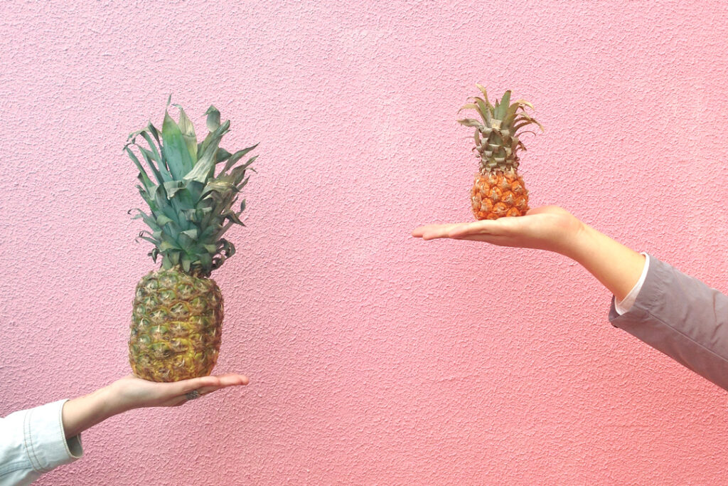two hands holding pineapples