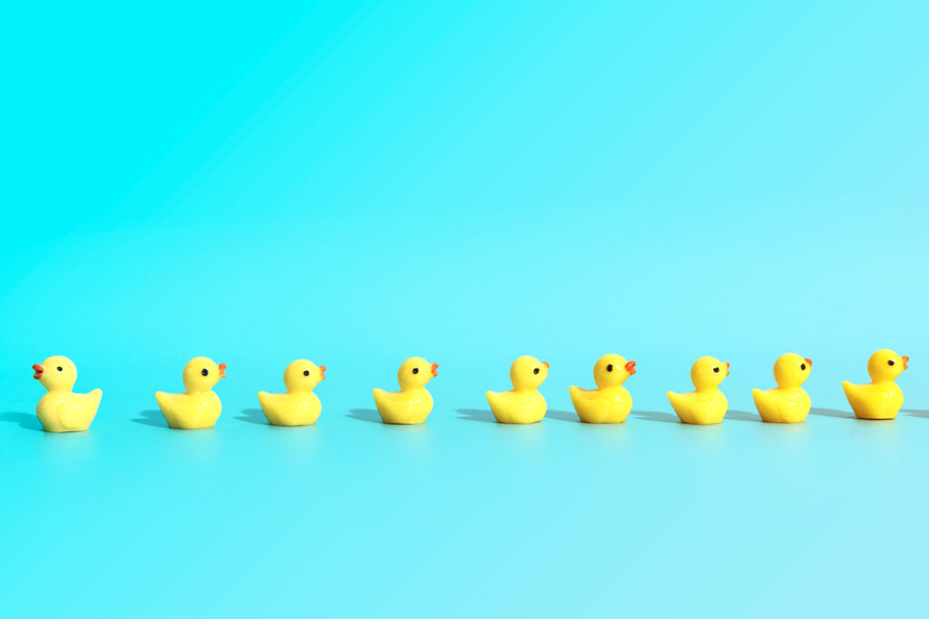 ducks in a row - company culture