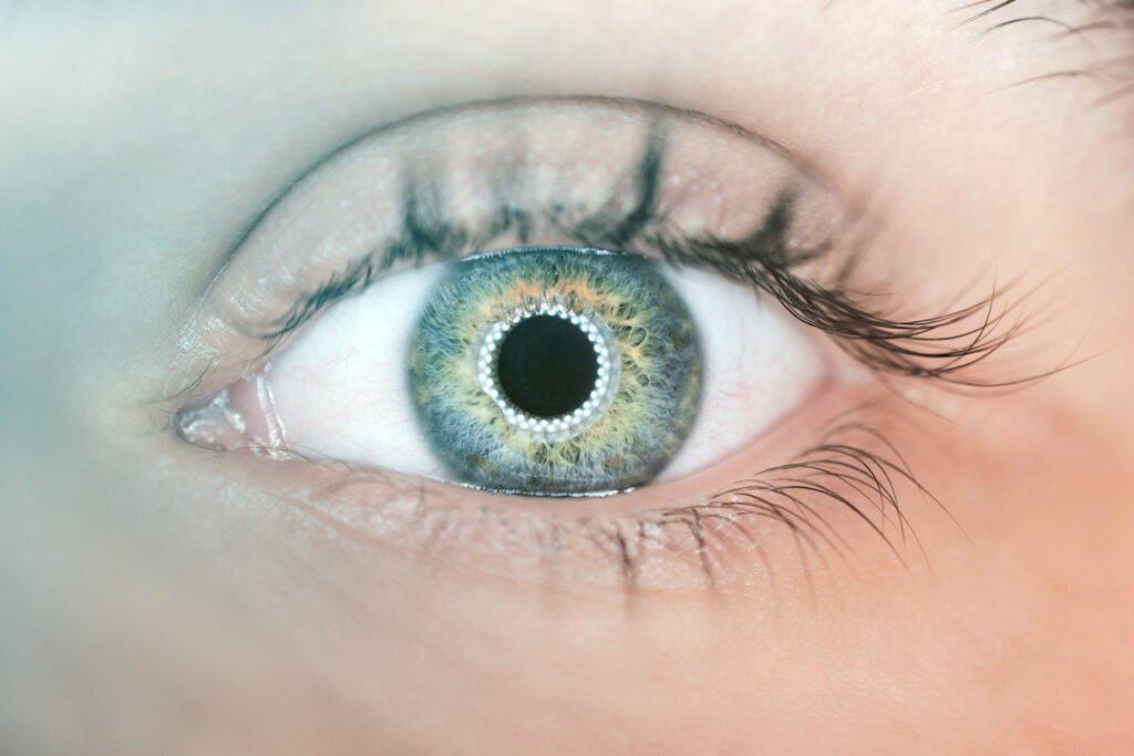 eye