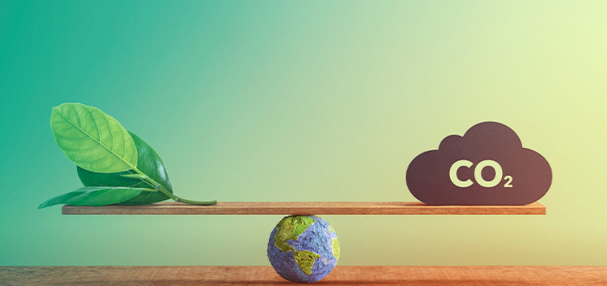 Ways You Can Track Your Travel Emissions and Carbon Footprint