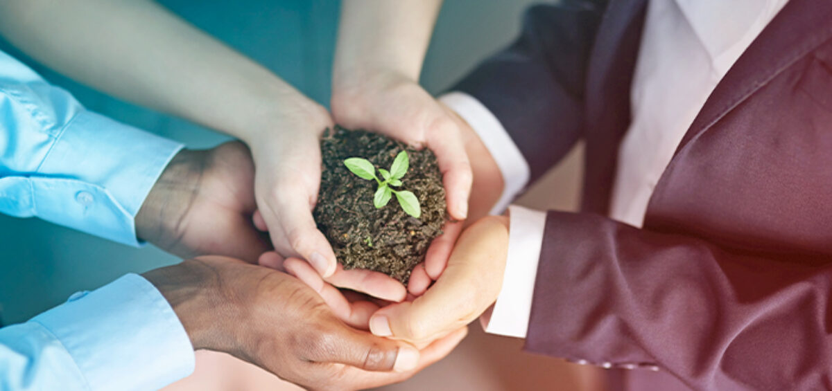 The Story of How Goodwings & JTB Partnered to Build a Sustainable Future for Business Travel