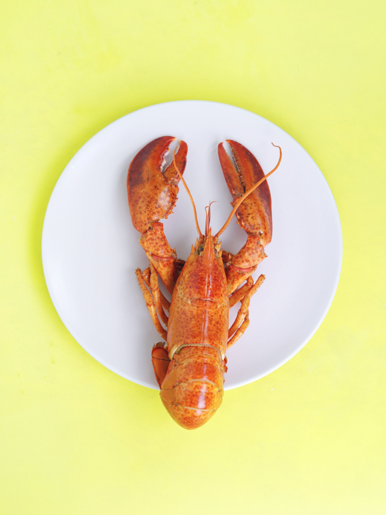 lobster on a plate