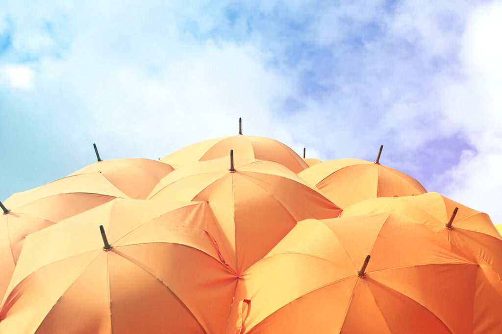 Umbrella - Covered