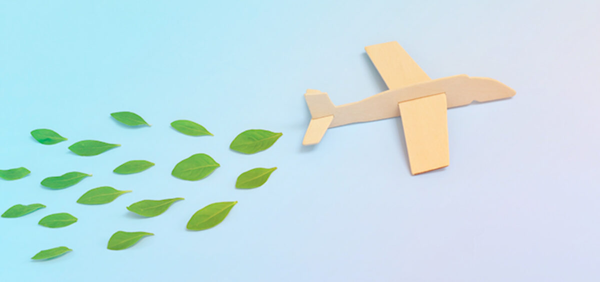 Sustainable Airlines: How to Choose, Support and Fly Them