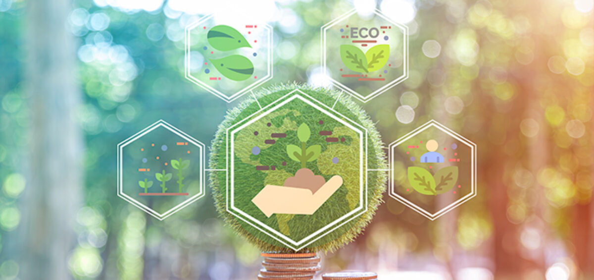 What You Need to Know About Implementing an Internal Carbon Fee