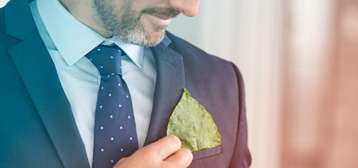 Sustainable Leadership in Business Travel: Top Examples in Aviation