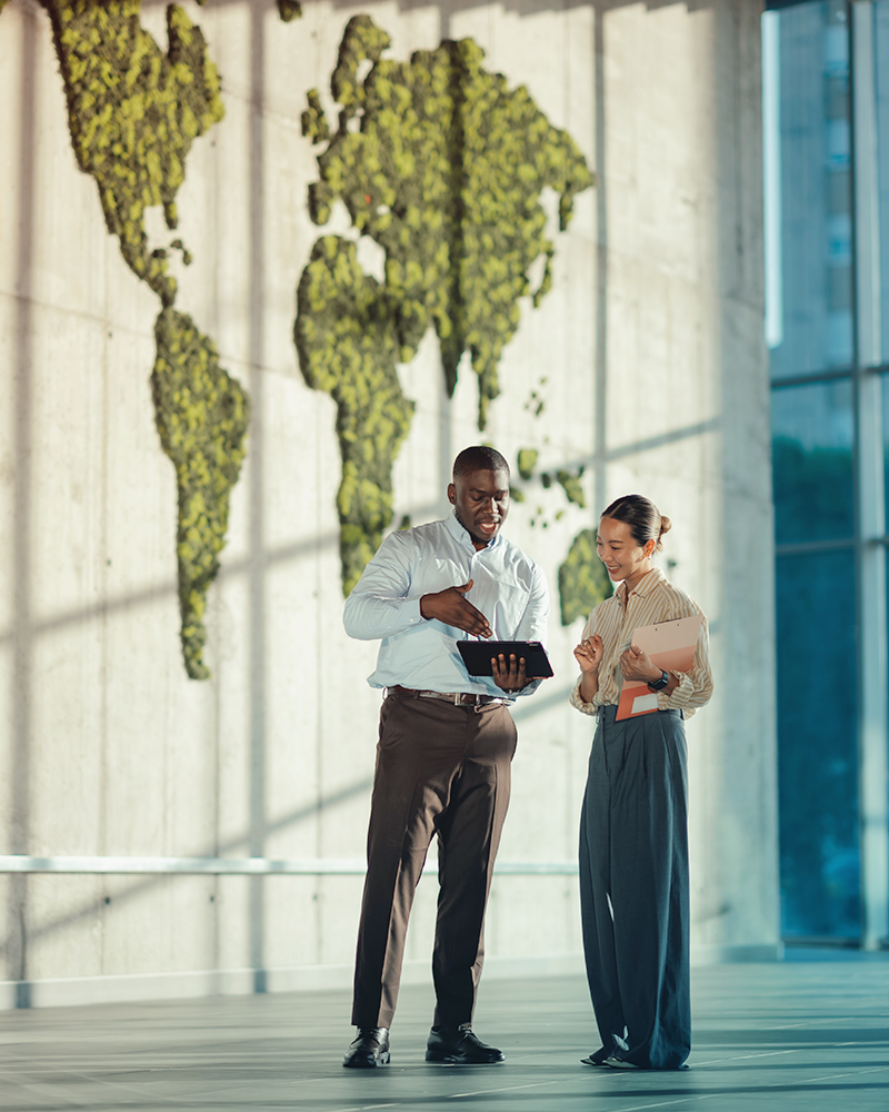 Business people discussing business travel emissions data
